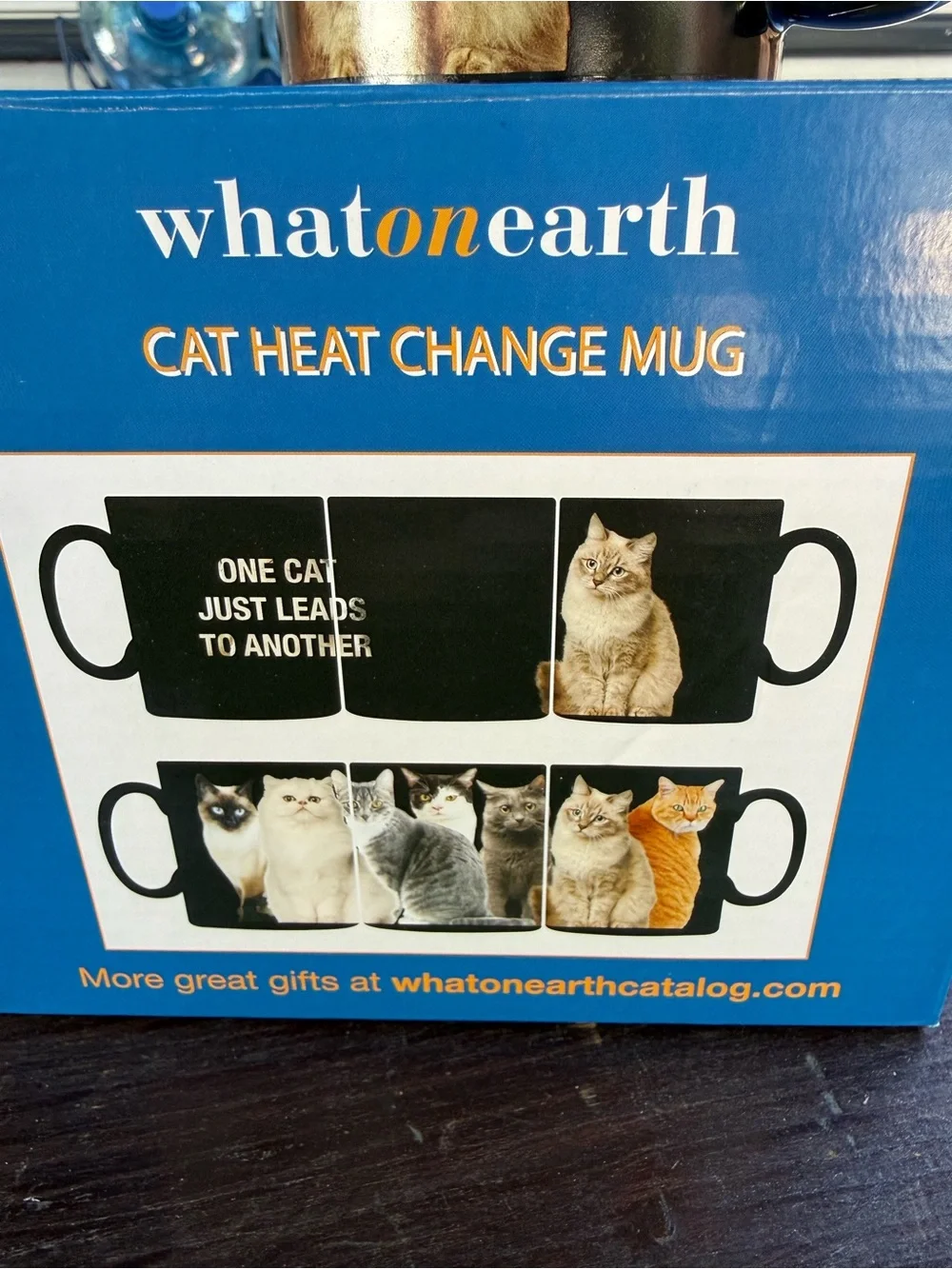 What on Earth Ceramic Cat Heat Change Mug 